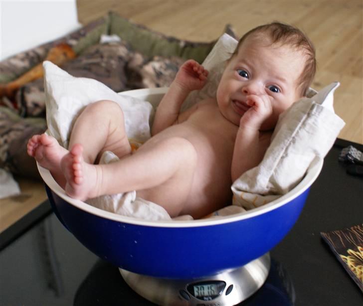 Pige Kaya Emilie - Vejes i på køkkenvægten. Over 3 kg !! :D 1 mdr og 16 dage gammel. billede 11