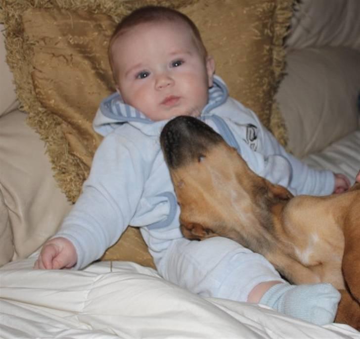 Dreng jamie strøh petersen billede 13