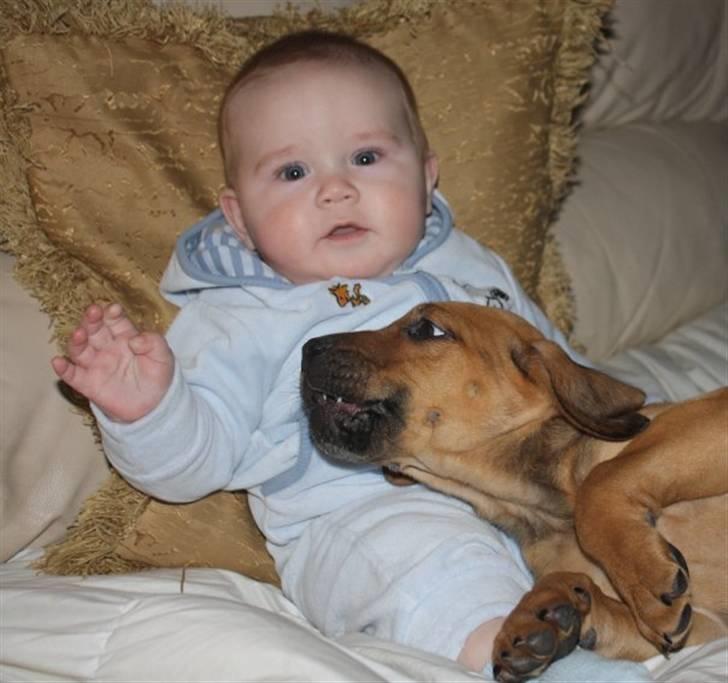 Dreng jamie strøh petersen billede 15