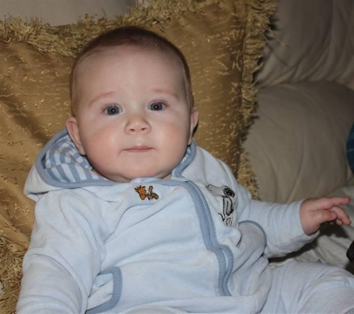 Dreng jamie strøh petersen billede 16