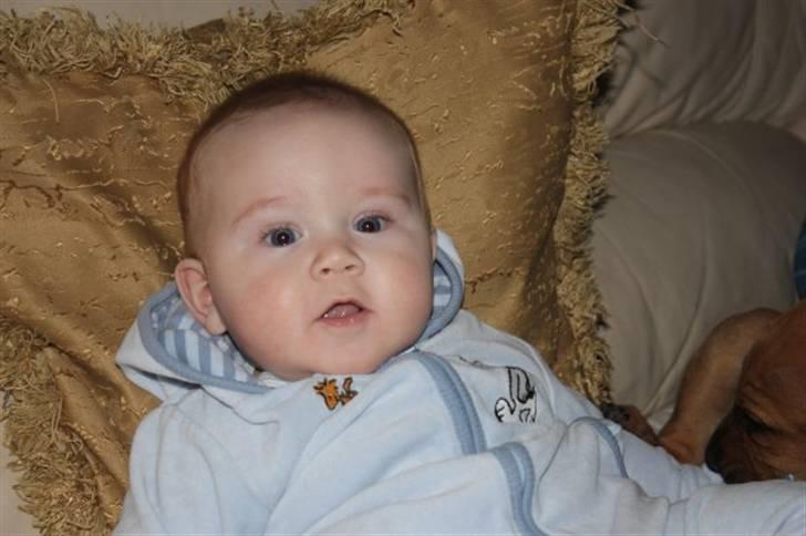 Dreng jamie strøh petersen billede 17