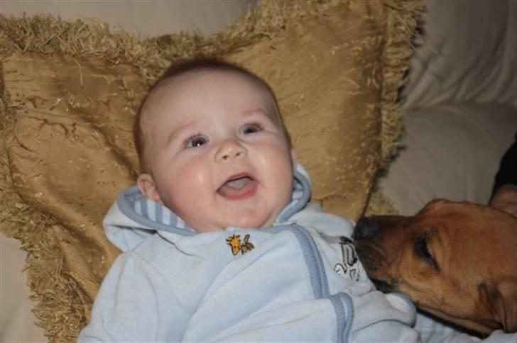 Dreng jamie strøh petersen billede 18