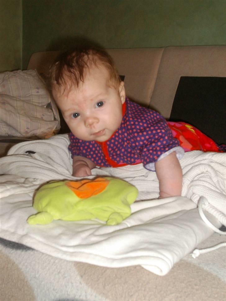 Pige Clara - april 2010: Skønne Clara 10 uger gammel billede 17