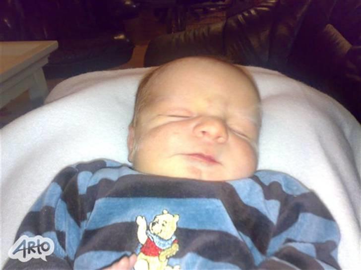 Dreng sebastian billede 1