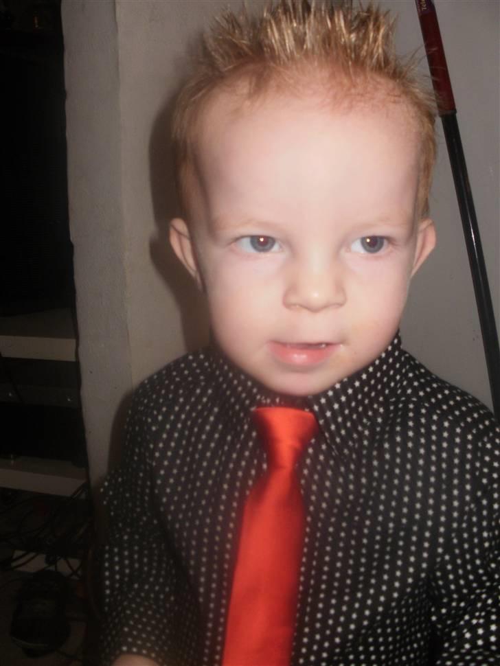 Dreng sebastian billede 6