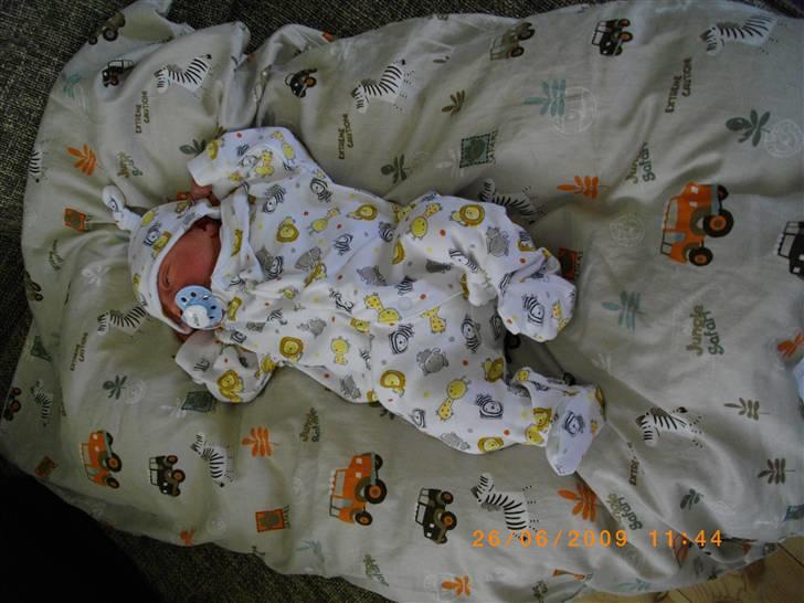 Dreng Willads billede 1