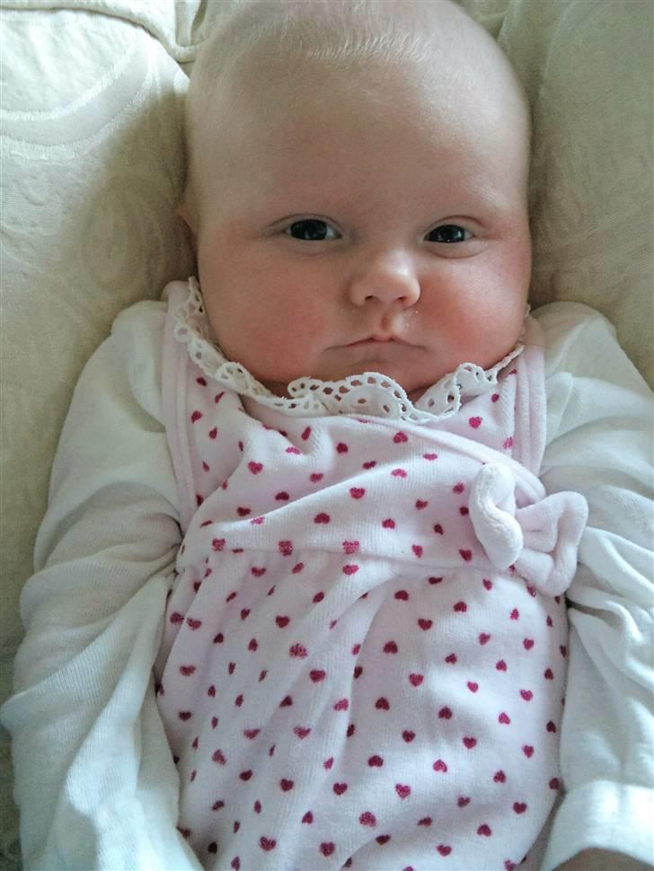 Pige Isabella Dagny - 8 uger, model er jeg også.. hihi billede 16