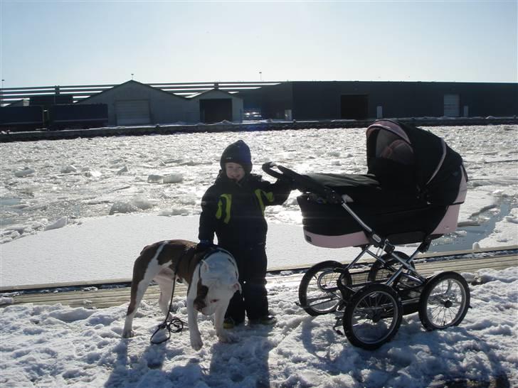 Pige Nicoline - mads og hans hund er ude og gå en tur med Nicoline billede 18