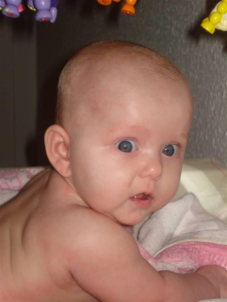 Pige Cecilie Lilje billede 7