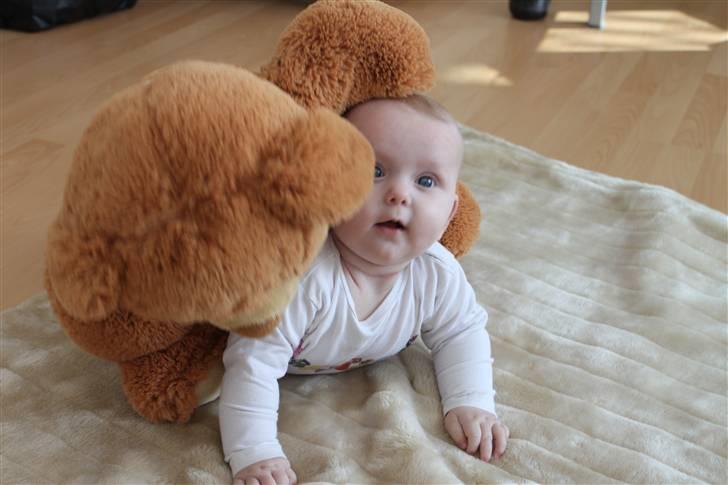 Pige Cecilie Lilje - Cille sammen med hendes ynglings bamse... billede 10