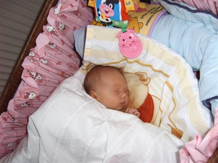 Pige Maria billede 2