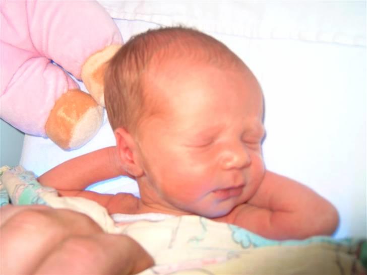 Pige Freja Wede Eriksen billede 10