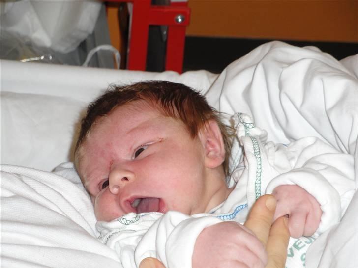 Dreng Tristan - 2 dage gammel. billede 1
