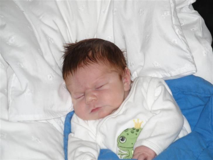 Dreng Tristan - 8 dage gammel. billede 2