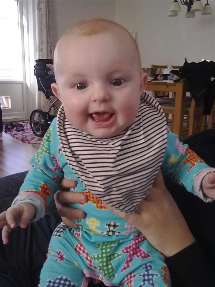 Pige Freja billede 2