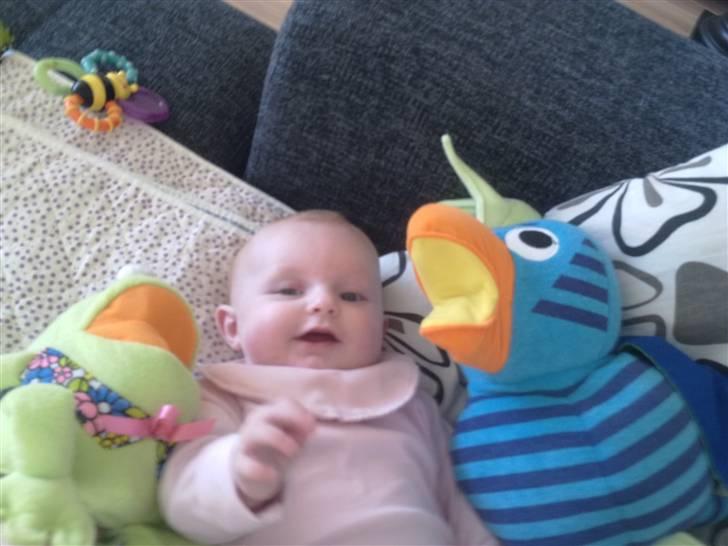 Pige Freja billede 3