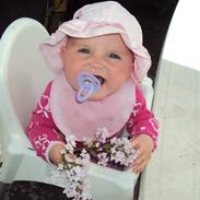 Pige Josefine Petra