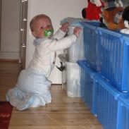 Dreng Marcus <3
