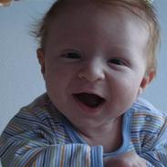 Dreng Lucas