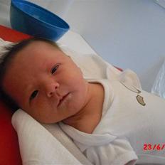 Pige Nikoline *19.06.2010*