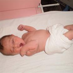 Pige Rebecca Denice Henriksen