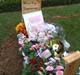 Pige Amila R.I.P