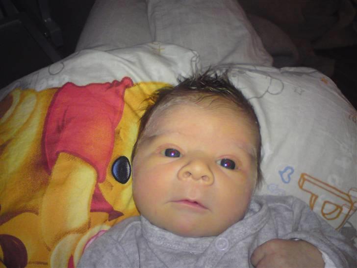 Dreng Oliver-Ty billede 2