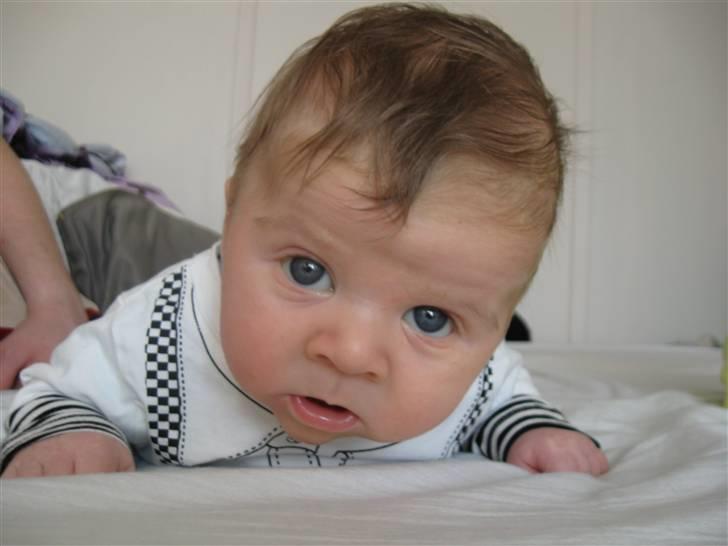 Dreng Oliver-Ty billede 4