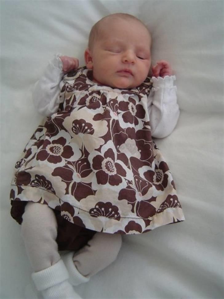 Pige Sara Lykke billede 12