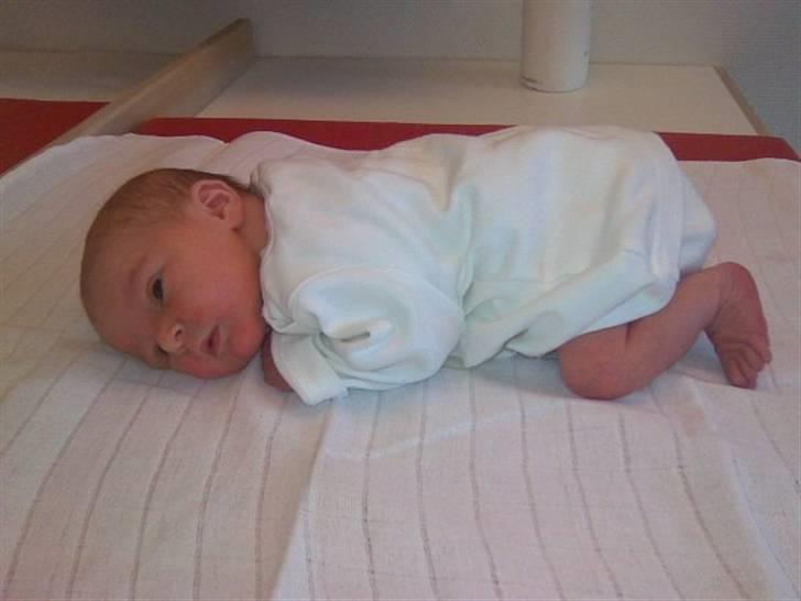 Pige Sara Lykke billede 13