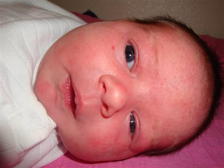 Pige Alberte Sofie billede 1