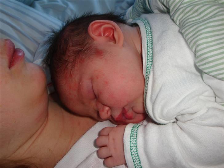 Pige Alberte Sofie billede 2
