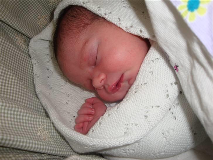 Pige Alberte Sofie billede 3