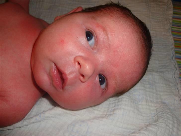Pige Alberte Sofie billede 5