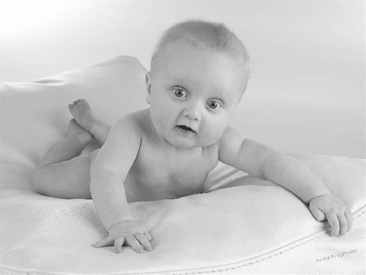 Dreng Danny Nima billede 6