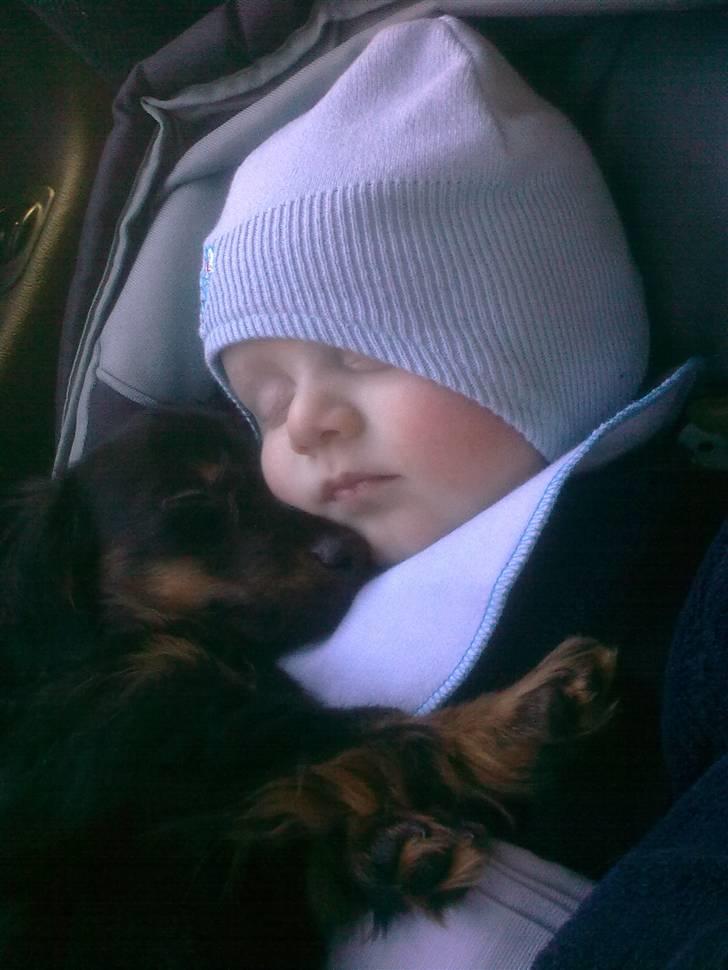 Dreng Danny Nima billede 8