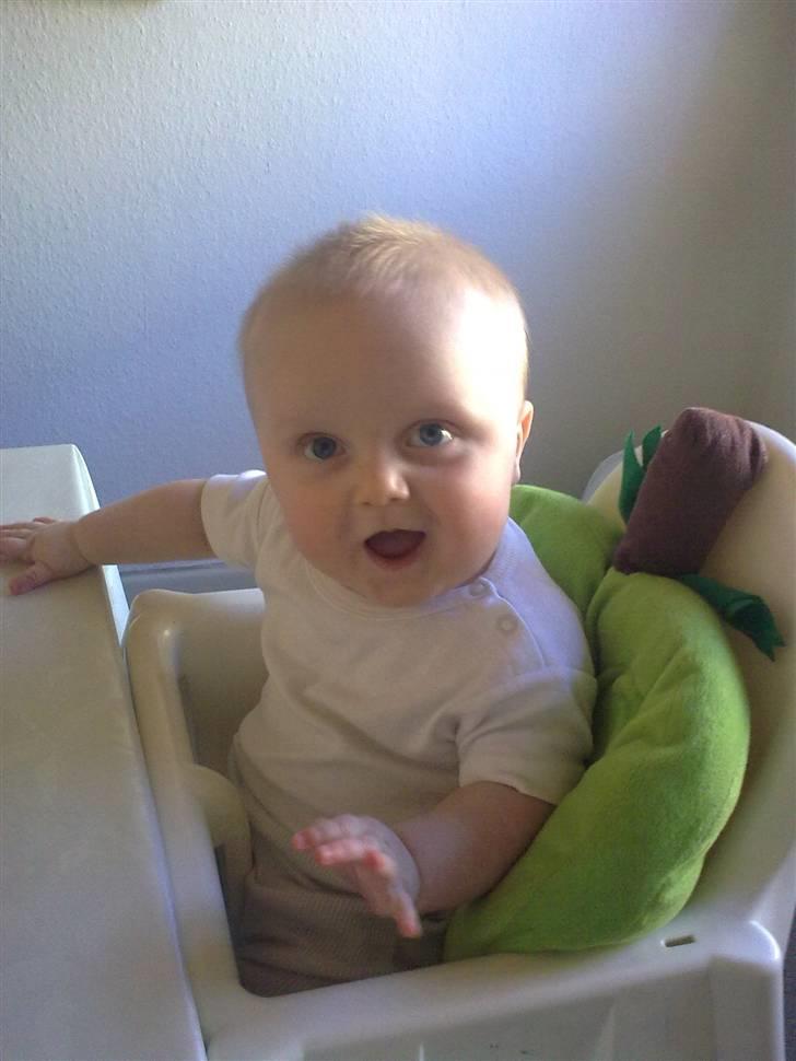 Dreng Danny Nima billede 10