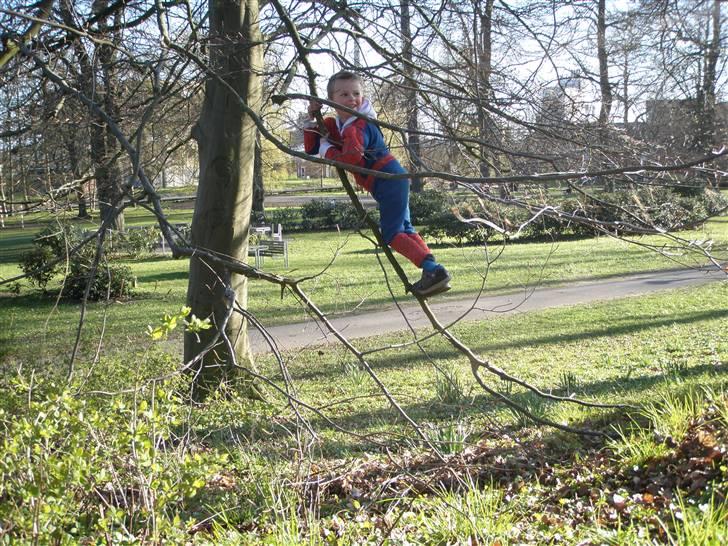 Dreng Mads Mathias Jensen - made leger spejermand i parken i randers billede 3