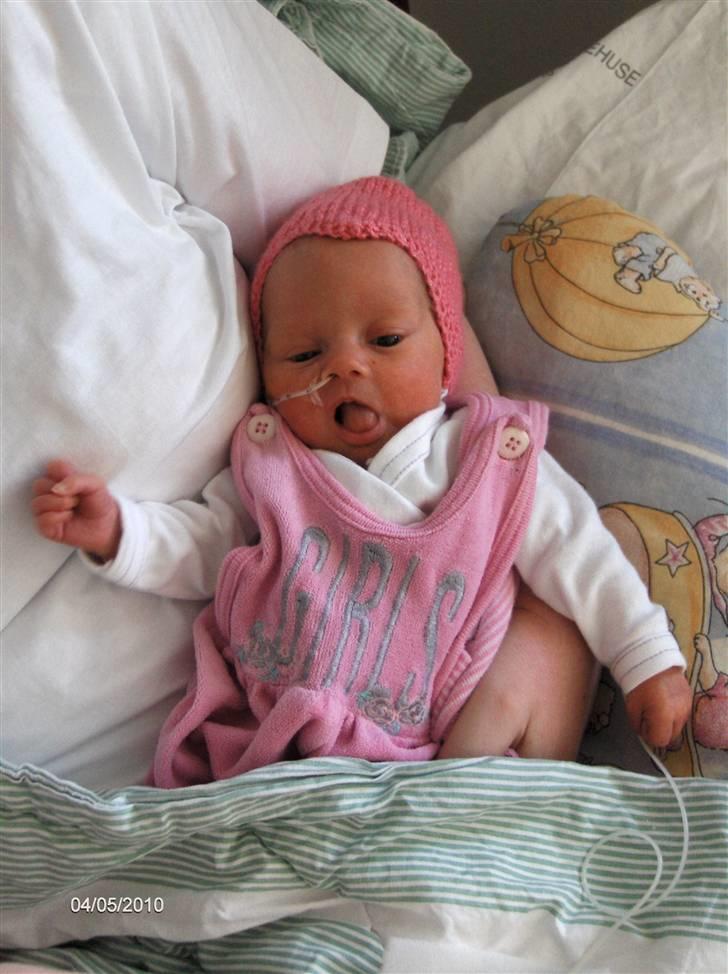 Pige Mie - Mie 1 måned billede 1