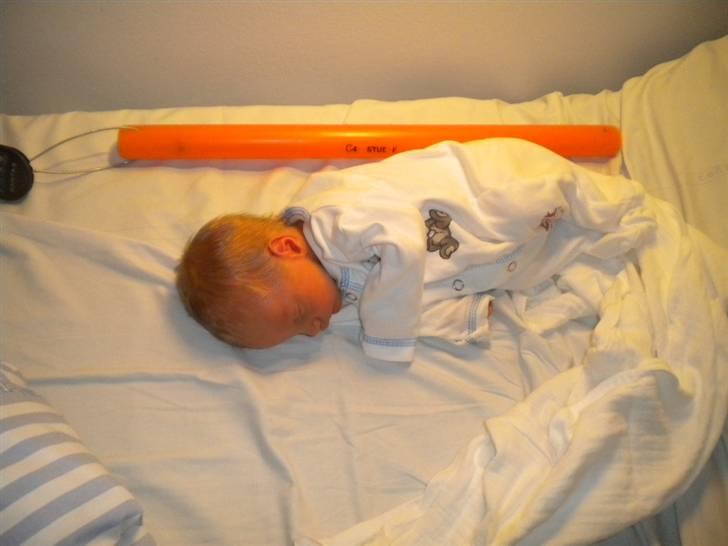 Dreng Magnus  billede 9