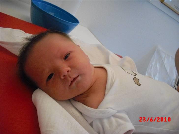 Pige Nikoline *19.06.2010* - 4 døgn gammel <3 billede 3