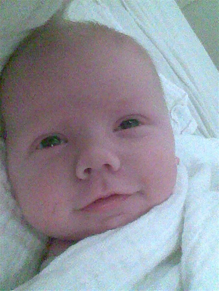 Dreng Viktor - Smiler :) billede 1