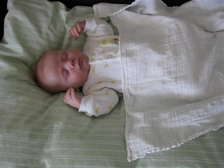 Dreng Viktor - Zzzzzzzzzzz... billede 2