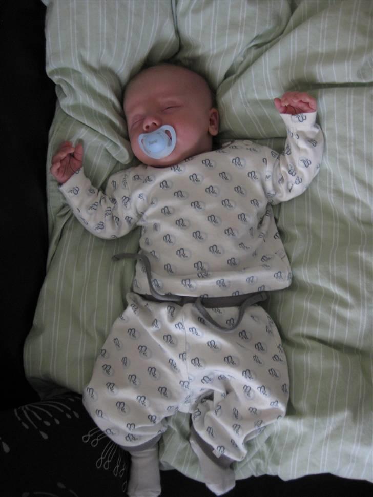Dreng Viktor - Zzzzzzzzzzzzzz billede 4