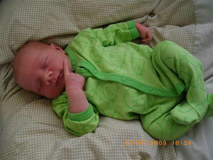 Dreng Willads billede 2