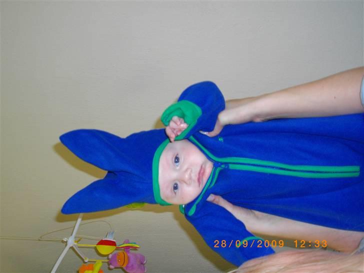 Dreng Willads billede 4