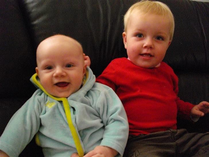 Dreng Willads billede 5