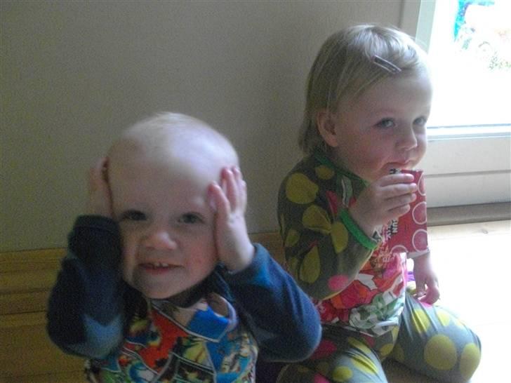 Dreng Willads billede 7