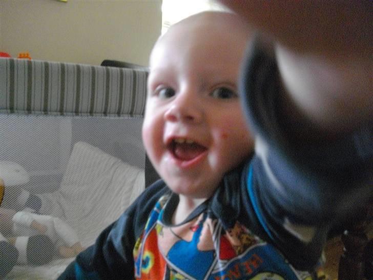 Dreng Willads billede 8