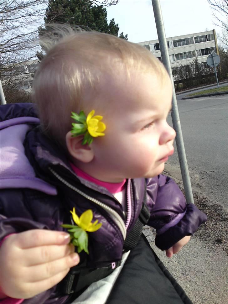 Pige Papaya Athena billede 18